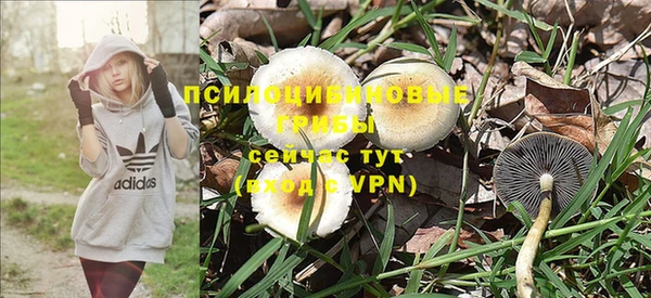 соль курить ск Арсеньев